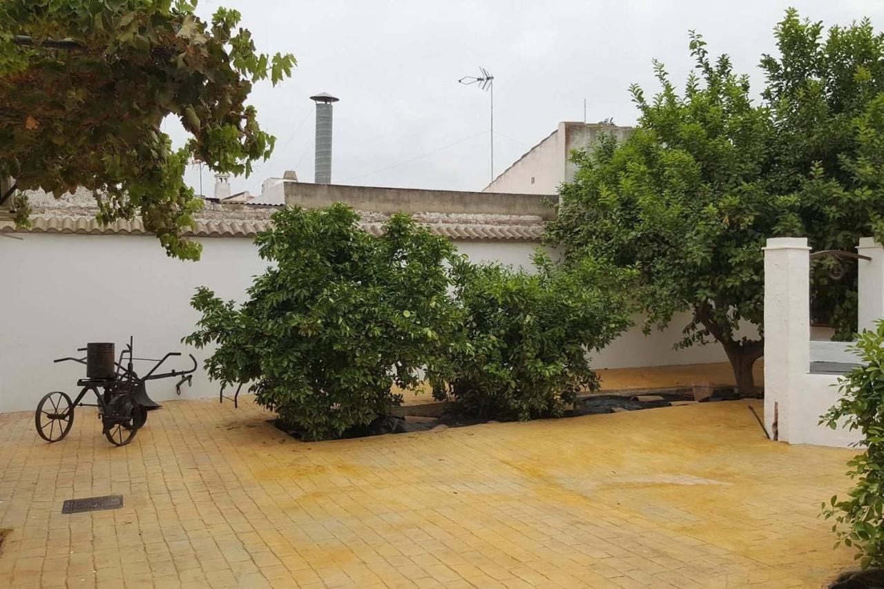 Gran Casa Rural Con Patio En Encinarejo De Cordoba Eksteriør billede