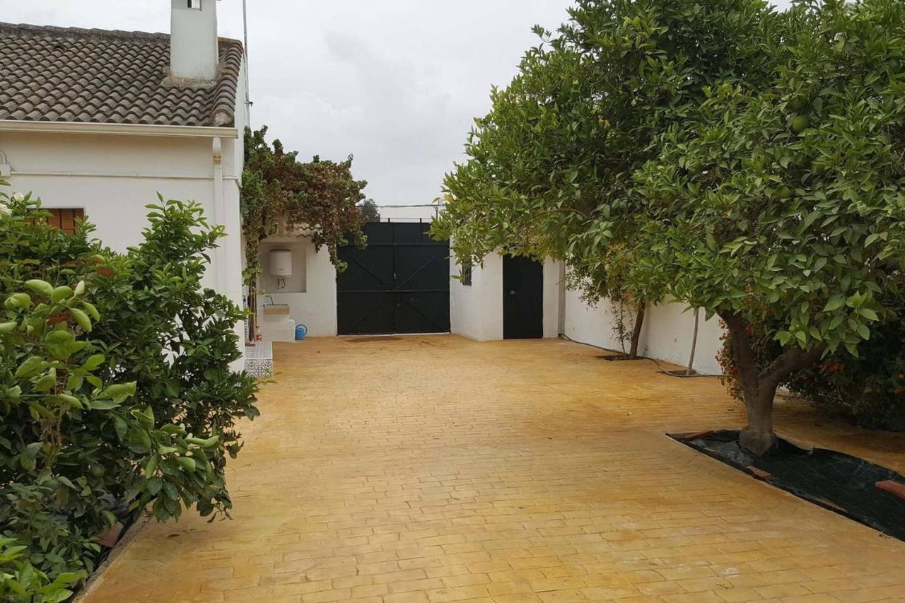 Gran Casa Rural Con Patio En Encinarejo De Cordoba Eksteriør billede